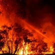 Incendios forestales en Australia, es un aviso del planeta.